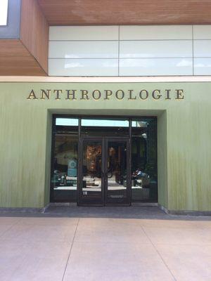 Anthropologie