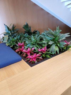 Planting with foliage and Bromeliads