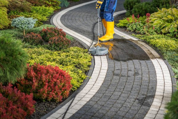 Paver walkway, cleaning