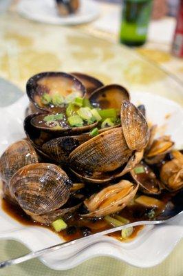 Sautéed Clam with Black Bean Sauce (豉汁花蜆): $18.99.