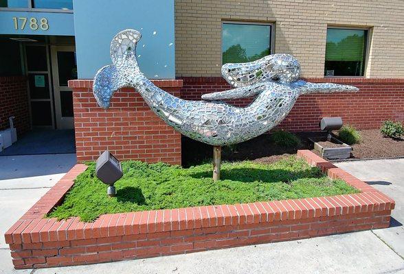 This is the dolphin outside the building to the practice.  Photo taken May 23, 2018.