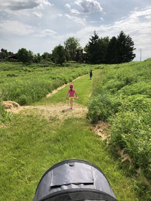 Walking through the Peck Farm paths.