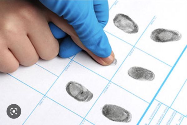 Ink Fingerprinting