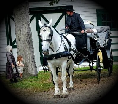 Vintage Carriage during filming