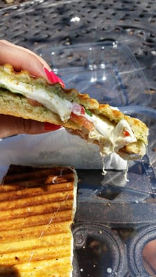 Delicious tomato mozzarella panini