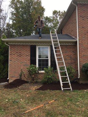 Gutter cleaning