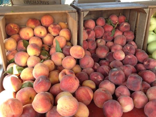 Yellow and white peaches. Covered in fuzz so you know they're local.