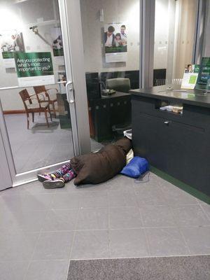 Homeless woman living in the lobby of the bank by the ATM.