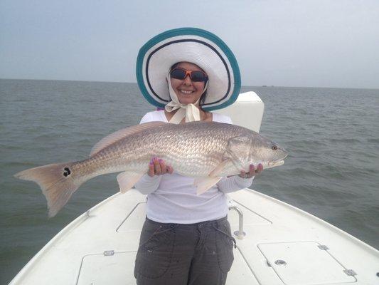 a nice Redfish