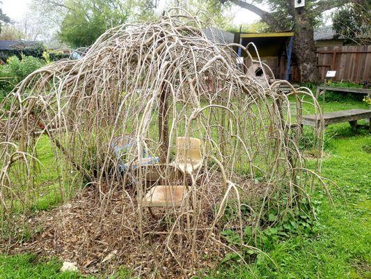 If you look closely you can see little chairs under and inside some type of weeping tree or plant