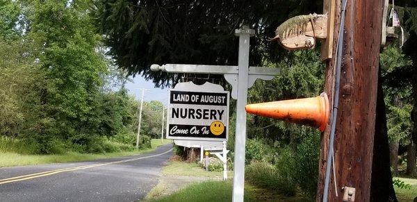 Visit the home of Land of August. Nursery.