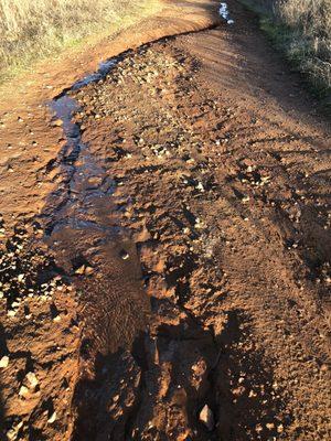 The recent rain storms created mini streams on the trail. Muddy and sloshy in some parts.