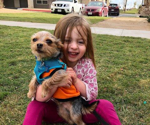 Abby's Little Friends Dog Rescue: Central Texas Dog Adoptions