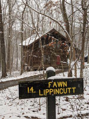 Family cabin