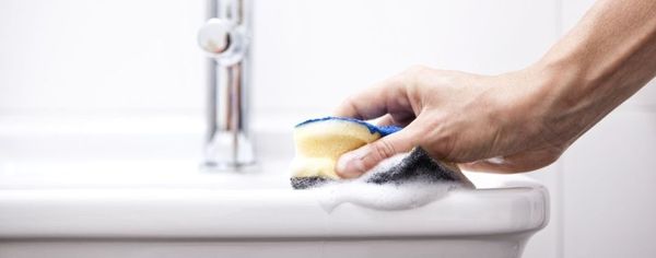 she sticked her hand inside of the toilet (with no gloves) and cleaned it that same sponge to clean the toilet with on the counters eww