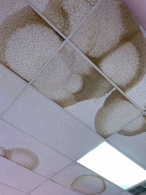 Dude.  Your ceiling is about to collapse.   It's like this everywhere.