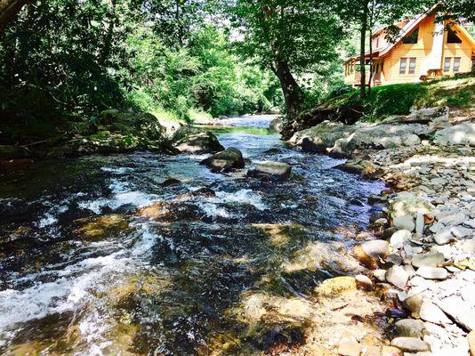 Creek side Fishing and Relaxation