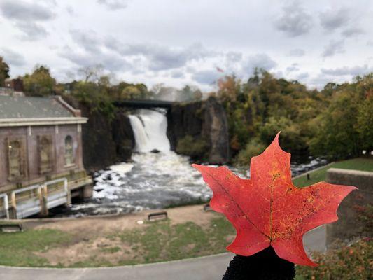 The falls are stunning!