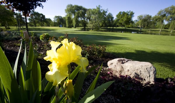 Bristol Oaks Golf Club & Banquet Center