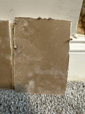 Mold forming on the drywall inside my walls