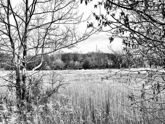 John James Audubon Center at Mill Grove