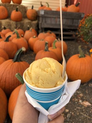 Pumpkin ice cream