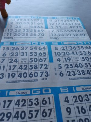 Best campground bingo with big payouts