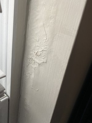 Leaking windows with damages. Management doesn't care