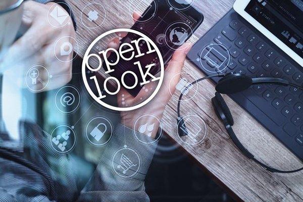 Open Look Business Solutions