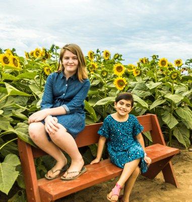 Family sunflower session