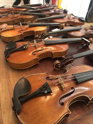 Master Violins