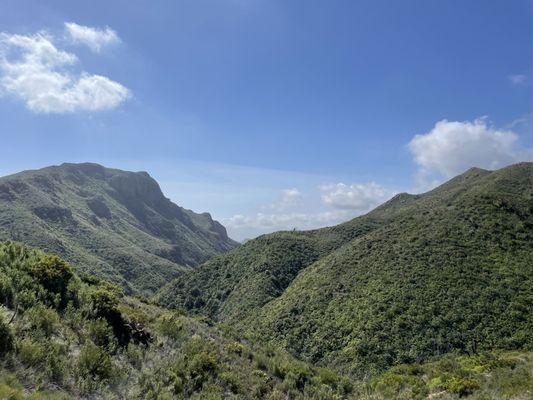 Trail view