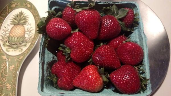 Seriously, these are the best strawberries that I have ever had.