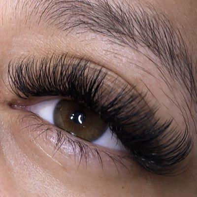 Volume Lashes