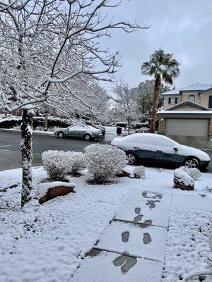 Looking out my front door!