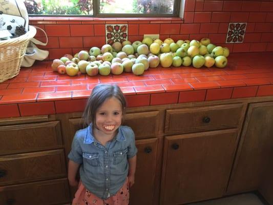 Only half the apples are from sun mountain. Nice teeth Mara!