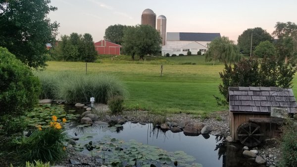 Lovely lilypad pond by gazebo and barn kitties. Relaxing!