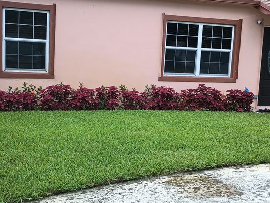 Joseph's Landscaping & Gardening