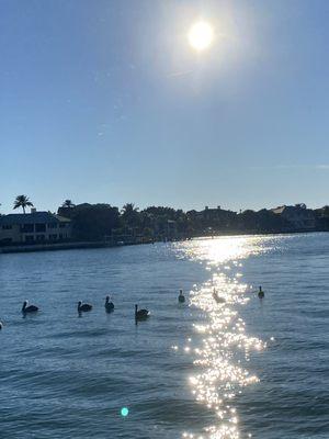 Evening on Siesta Key