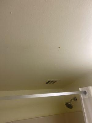 Stains on bathroom ceiling. Looks like food‍