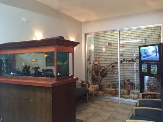 Smaller patient waiting room with our famous fish!!