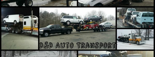 D&D Auto Transport