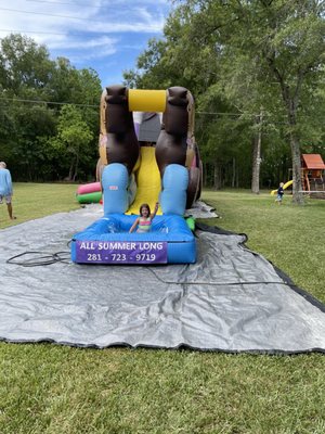 Princess carriage bounce house/water slide combo