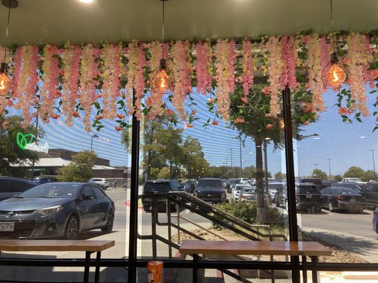 cute windows looking out to the parking lot