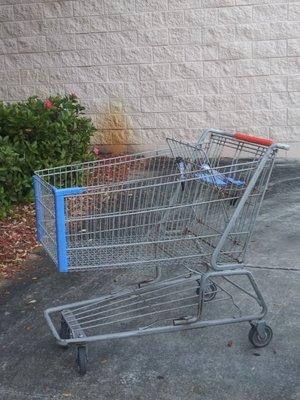 The one functional shopping cart