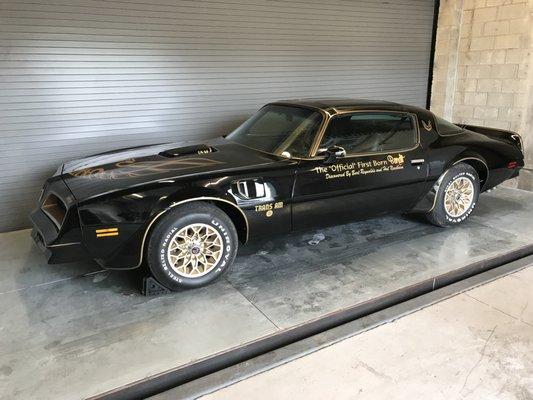 Original Concept Car authorizes by Burt Reynolds as "The Bandit"