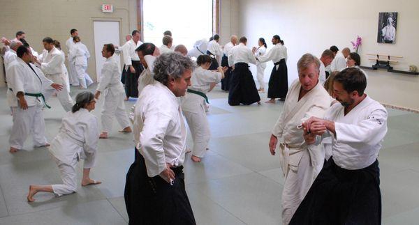 Castle Rock Aikido and Iaido Martial Arts School