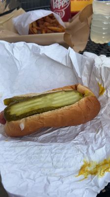 Chicago Dog