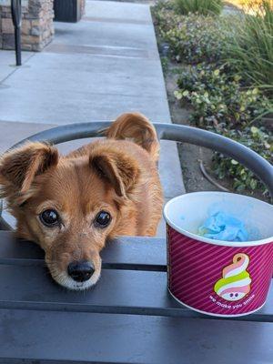 Cute dog does not come with purchase. Price per oz for frozen yogurt and toppings is $0.69