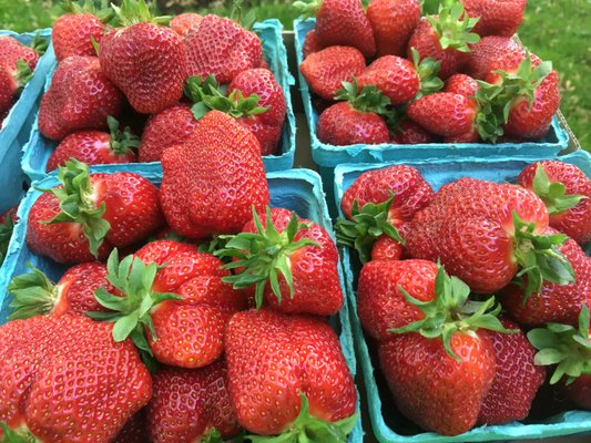 2024 Strawberry season has begun.  See our website for details: glenrunvalleyview.farm.